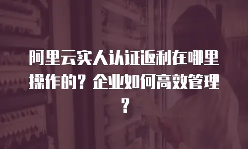阿里云实人认证返利在哪里操作的？企业如何高效管理？