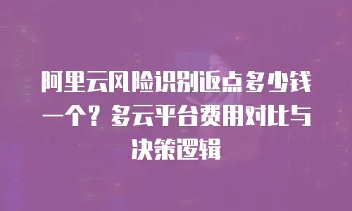 阿里云风险识别返点多少钱一个？多云平台费用对比与决策逻辑