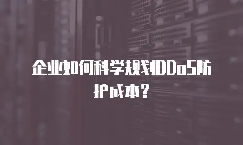 企业如何科学规划DDoS防护成本？