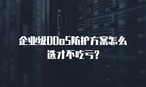 企业级DDoS防护方案怎么选才不吃亏？