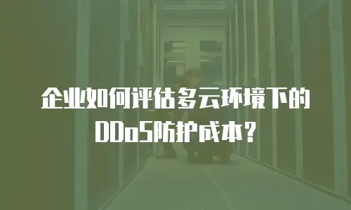 企业如何评估多云环境下的DDoS防护成本？