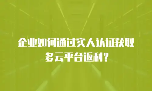 企业如何通过实人认证获取多云平台返利？