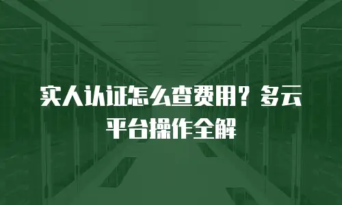 实人认证怎么查费用？多云平台操作全解