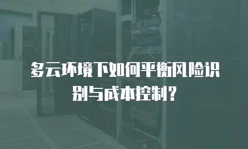 多云环境下如何平衡风险识别与成本控制？