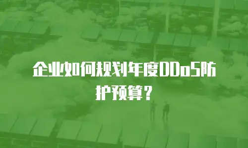 企业如何规划年度DDoS防护预算？