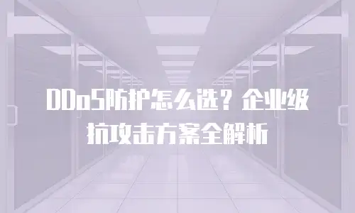 DDoS防护怎么选？企业级抗攻击方案全解析