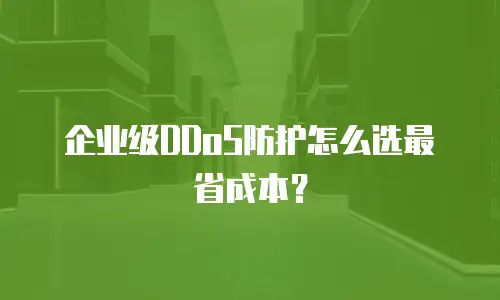 企业级DDoS防护怎么选最省成本？