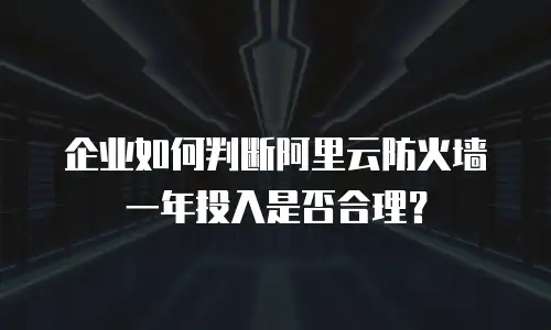 企业如何判断阿里云防火墙一年投入是否合理？