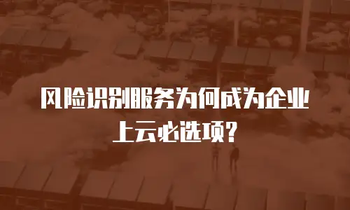 风险识别服务为何成为企业上云必选项？