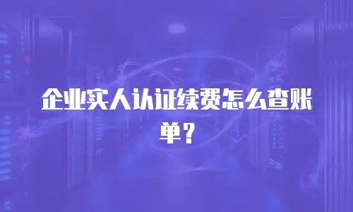 企业实人认证续费怎么查账单？