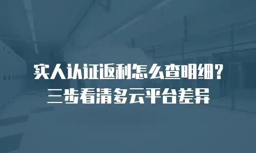 实人认证返利怎么查明细？三步看清多云平台差异