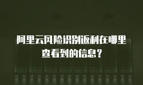 阿里云风险识别返利在哪里查看到的信息？