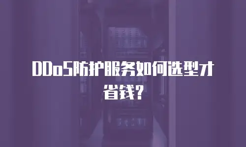 DDoS防护服务如何选型才省钱？