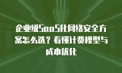 企业级SaaS化网络安全方案怎么选？看懂计费模型与成本优化