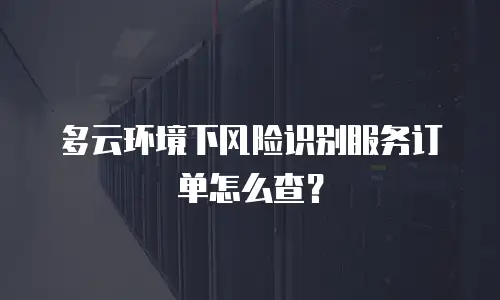 多云环境下风险识别服务订单怎么查？