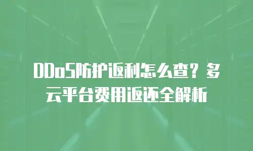 DDoS防护返利怎么查？多云平台费用返还全解析