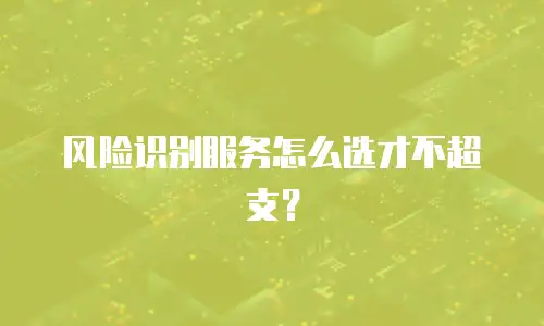 风险识别服务怎么选才不超支？