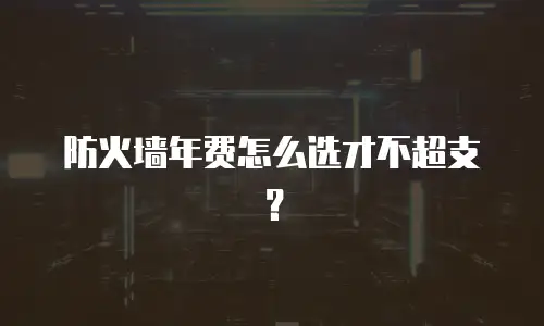 防火墙年费怎么选才不超支？