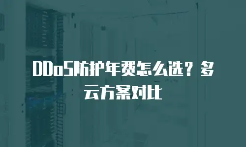 DDoS防护年费怎么选？多云方案对比