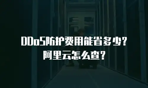 DDoS防护费用能省多少？阿里云怎么查？