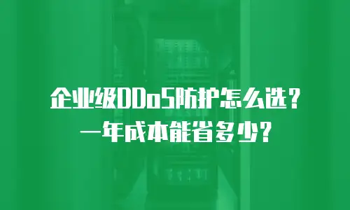 企业级DDoS防护怎么选？一年成本能省多少？