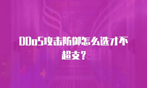 DDoS攻击防御怎么选才不超支？
