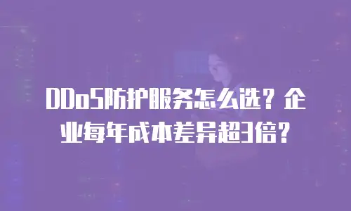 DDoS防护服务怎么选？企业每年成本差异超3倍？