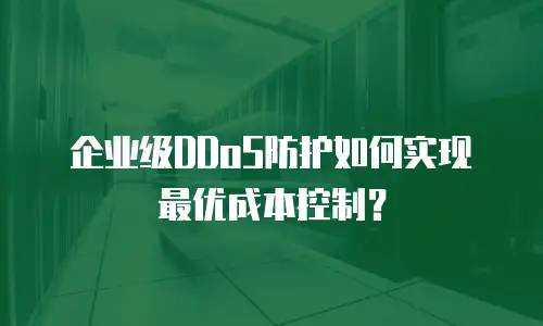 企业级DDoS防护如何实现最优成本控制？