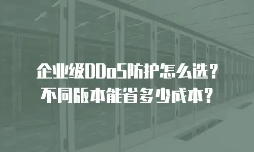 企业级DDoS防护怎么选？不同版本能省多少成本？