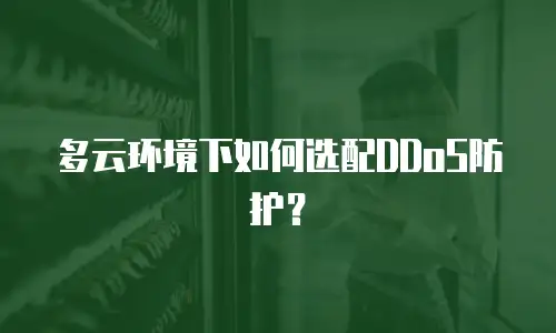 多云环境下如何选配DDoS防护？