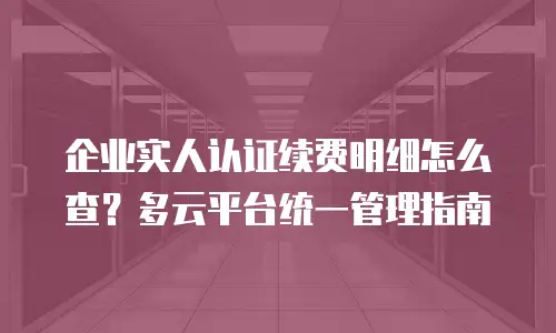 企业实人认证续费明细怎么查？多云平台统一管理指南