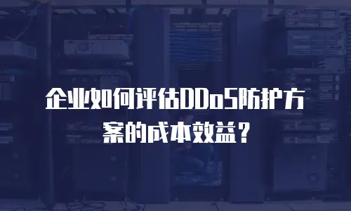 企业如何评估DDoS防护方案的成本效益？