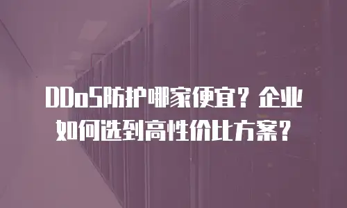 DDoS防护哪家便宜？企业如何选到高性价比方案？