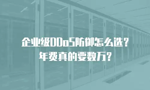 企业级DDoS防御怎么选？年费真的要数万？