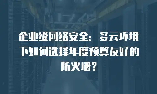 企业级网络安全：多云环境下如何选择年度预算友好的防火墙？