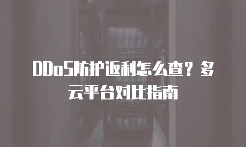 DDoS防护返利怎么查？多云平台对比指南