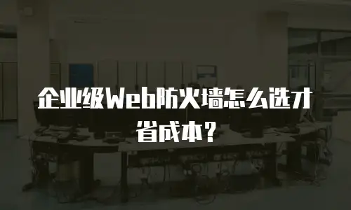 企业级Web防火墙怎么选才省成本？