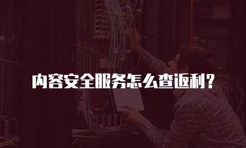 内容安全服务怎么查返利？