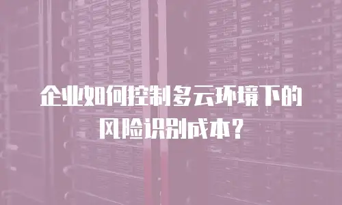 企业如何控制多云环境下的风险识别成本？
