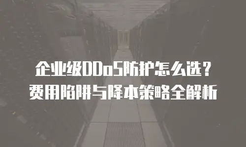企业级DDoS防护怎么选？费用陷阱与降本策略全解析