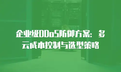 企业级DDoS防御方案：多云成本控制与选型策略