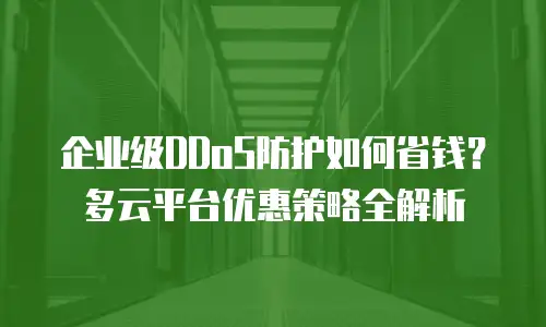 企业级DDoS防护如何省钱？多云平台优惠策略全解析