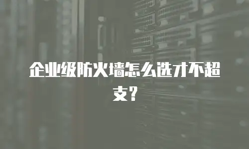 企业级防火墙怎么选才不超支？