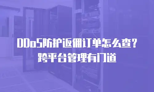DDoS防护返佣订单怎么查？跨平台管理有门道