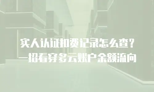 实人认证扣费记录怎么查？一招看穿多云账户余额流向