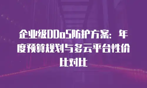 企业级DDoS防护方案：年度预算规划与多云平台性价比对比
