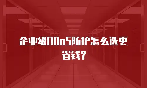 企业级DDoS防护怎么选更省钱？