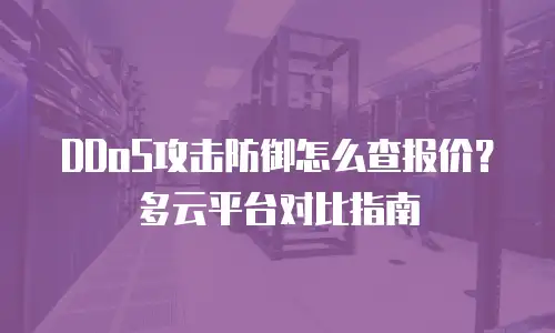 DDoS攻击防御怎么查报价？多云平台对比指南
