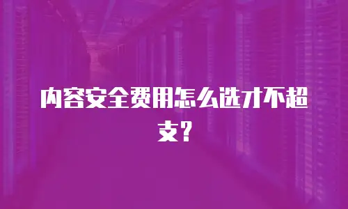 内容安全费用怎么选才不超支？