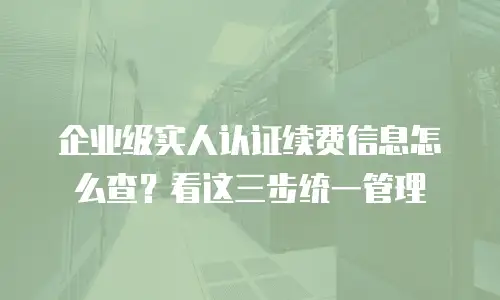 企业级实人认证续费信息怎么查？看这三步统一管理